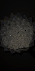 Bouquet 40 roses🤍