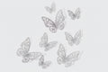 Papillons🦋
